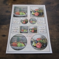 Jellie Design knipvellen - voorjaar 5