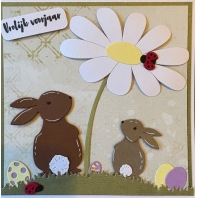 Workshop lente groetjes kaart