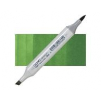 Copic Sketch YG67 Moss