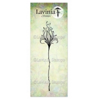 Lavinia - Flower Divine 2 - LAV902