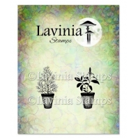Lavinia - Dill & Sage Pots LAV939