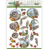 3D Push Out - Amy Design. -  Amazing Owls - Meadow Owls
